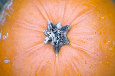 Similar image 22148339