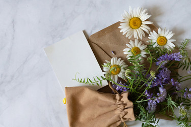 Similar image 22152513