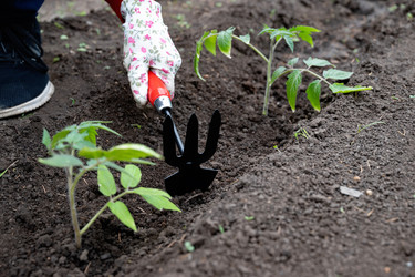 Similar image 22152518