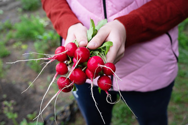 Similar image 22152520