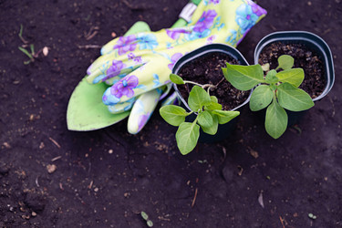 Similar image 22152521