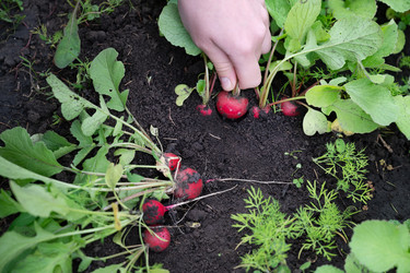 Similar image 22152523