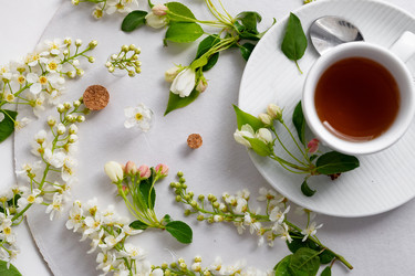 Similar image 22152524