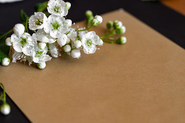 Similar image 22152526