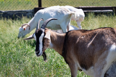 Similar image 22152531