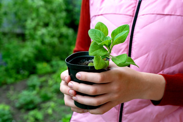 Similar image 22152532