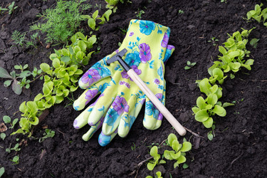 Similar image 22152544