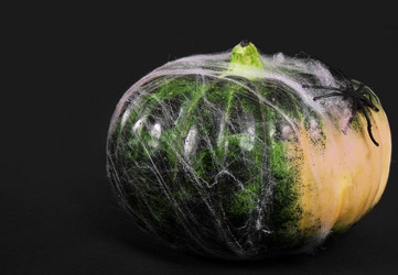 Similar image 22148385