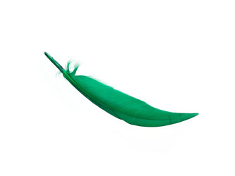 Similar image 22148399