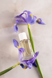 Similar image 22148052