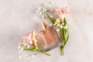 Similar image 22148053