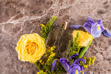 Similar image 22148054