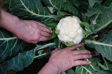 Similar image 22152549