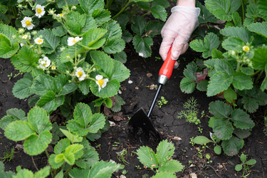 Similar image 22152902