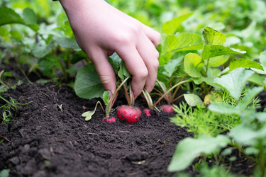 Similar image 22152903