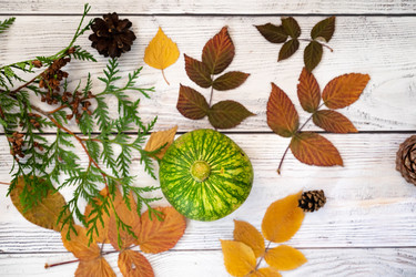 Similar image 22152905