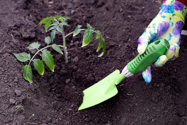 Similar image 22152906