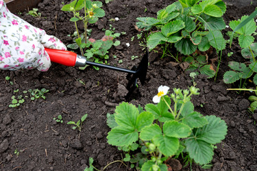 Similar image 22152907