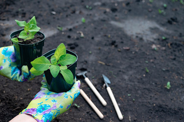 Similar image 22152908