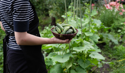 Similar image 22152911