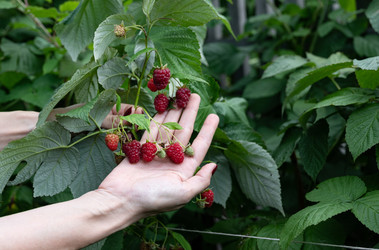 Similar image 22152287