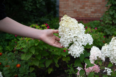 Similar image 22152288