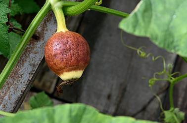 Similar image 22152295