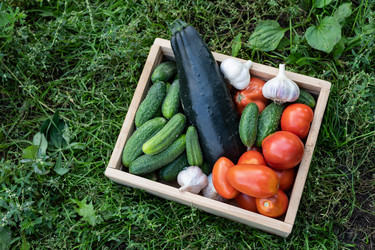 Similar image 22152550