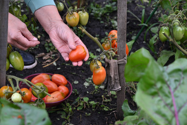 Similar image 22152551