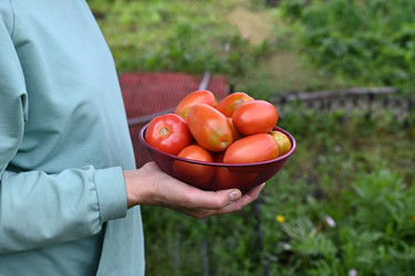 Similar image 22152554