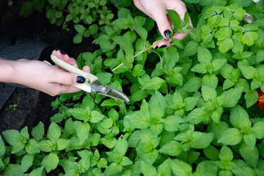 Similar image 22152555