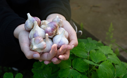 Similar image 22152556