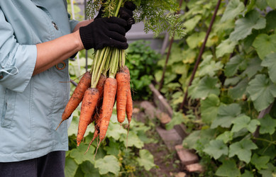 Similar image 22152562