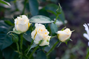 Similar image 22152564