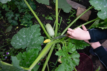 Similar image 22152566