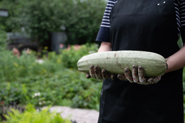 Similar image 22152567