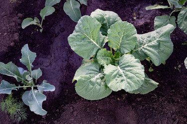 Similar image 22152570