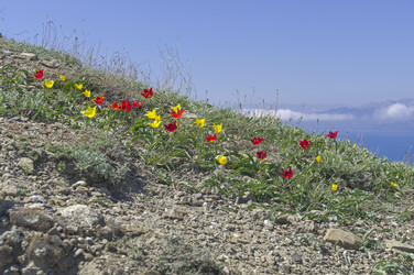 Similar image 22148062