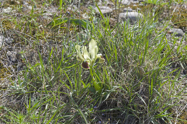 Similar image 22148063