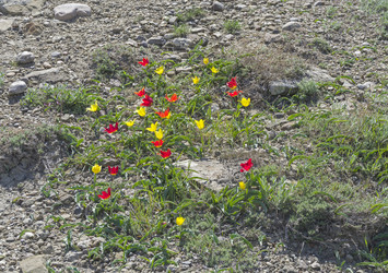 Similar image 22148064