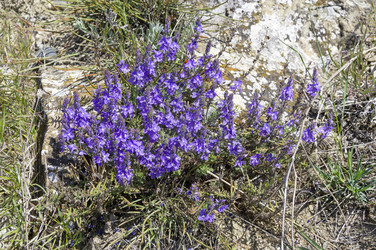 Similar image 22148065