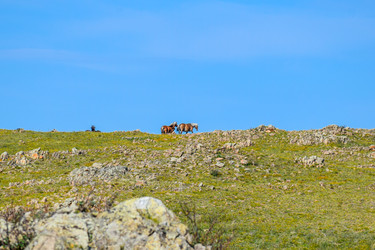 Similar image 22148067