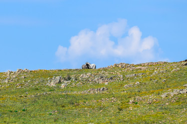 Similar image 22148068