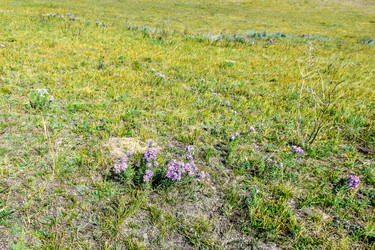 Similar image 22148069