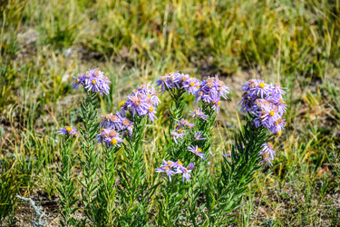 Similar image 22148070