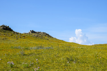 Similar image 22148071