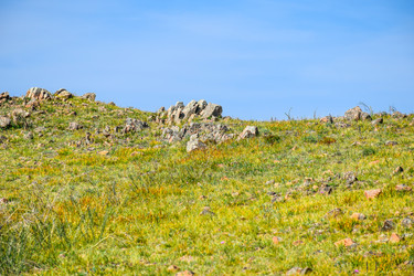 Similar image 22148079