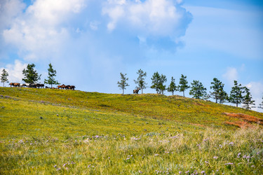 Similar image 22148082