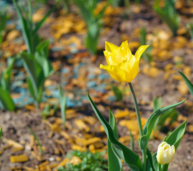 Similar image 22148711