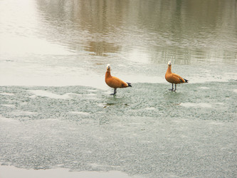 Similar image 22148715